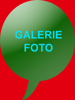 Galerie foto